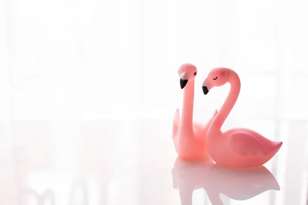 Couple Flamingo Love Isolated White Background Valentine Day Holiday Celebration — Stock Photo, Image