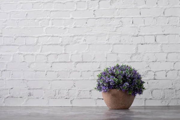 Maceta de planta seca sobre fondo de textura de pared de ladrillo blanco . — Foto de Stock