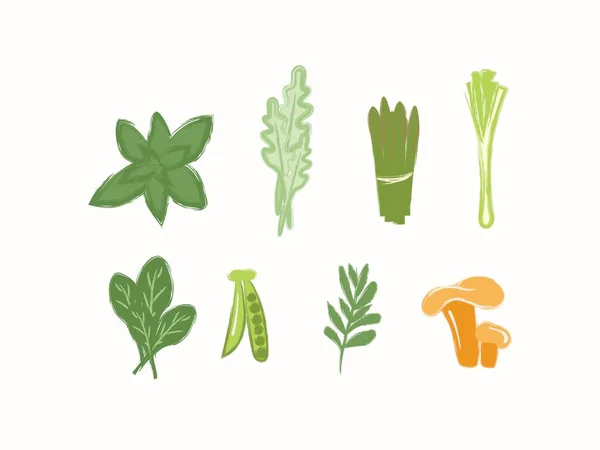 Set dari vektor hijau, detox dari mint, arugula, bawang, asparagus - Stok Vektor