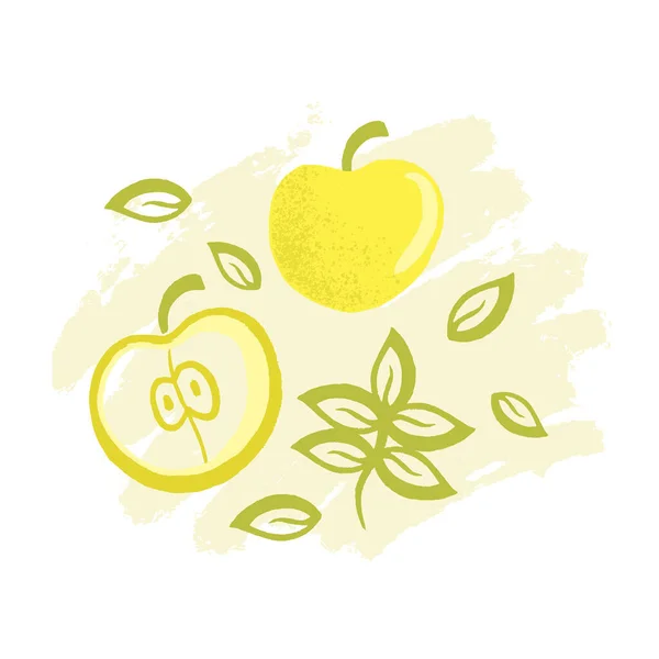 Vektor Illustration Ikon av mogen exotisk drake frukt med skiva — Stock vektor