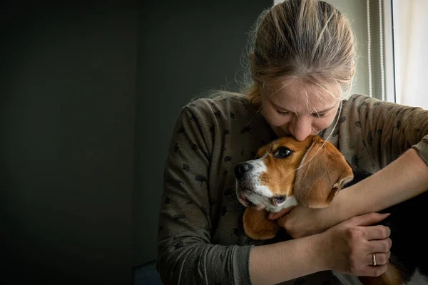 Kız köpeğini seviyor ve sıkıca sarılıyor. Beagle cinsi. Gerçek duygular. hayvan koruması.