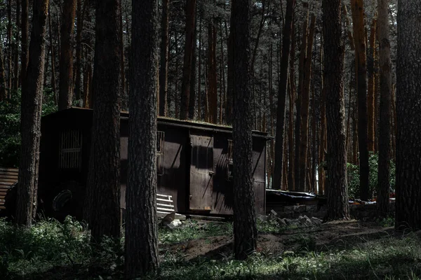 废弃的黑色房子在松林里 灯光穿过树林 照亮了门 用暗键拍照 — 图库照片