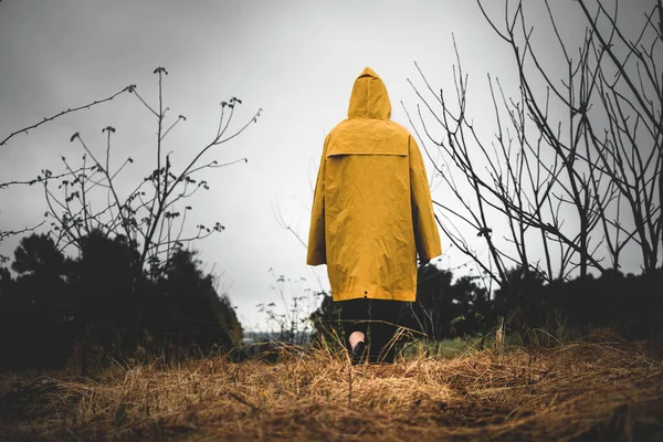 Niña Impermeable Amarillo Nublado Lluvioso Camina Entre Los Árboles Concepto Imagen De Stock