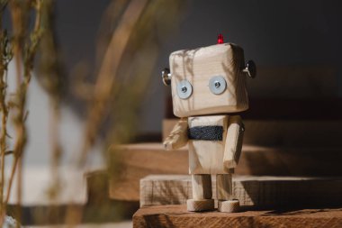 Ormandaki küçük tahta robot. Yalnızlık kavramı
