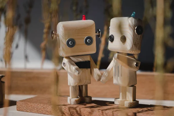 Ormanda el ele tutuşan iki küçük tahta robot. dostluk kavramı