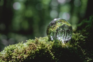 Çevre konsepti, ormandaki yosunların üzerinde bir kristal küre yatıyor, ormanın yansıması. Doğa konsepti ve teması, çevre koruma. Rahatlama. cam malzeme.