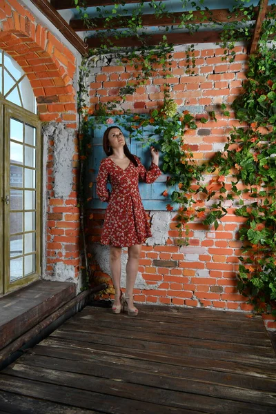 Красивая Девушка Красном Платье Позирует Интерьере Комнаты — стоковое фото