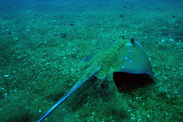 Una Gran Pendiente Encuentra Arena Fondo Bahía — Foto de Stock