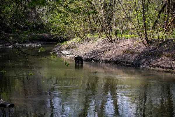 Spring River Wakes Sun — стоковое фото