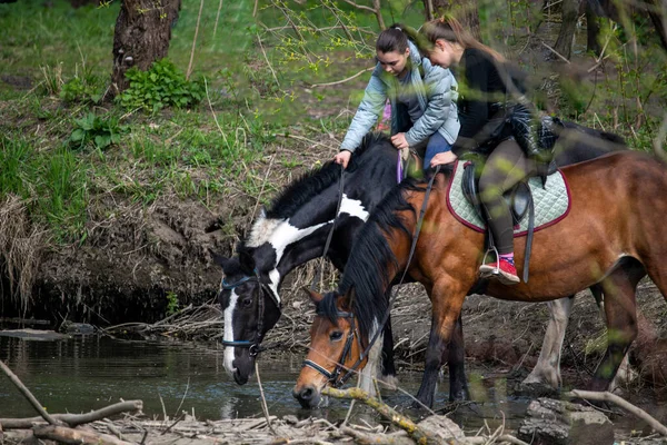 Cavaliers Leurs Chevaux Dans Forêt Près Rivière — Photo