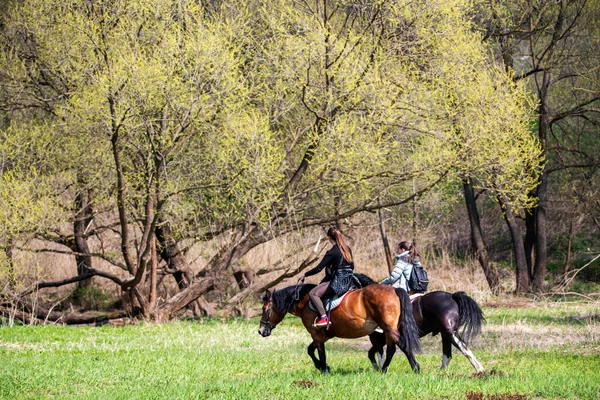 Cavaliers Leurs Chevaux Dans Forêt Près Rivière — Photo