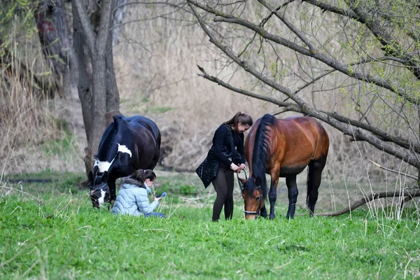 Pferde Und Reiter Auf Freizeitaktivitäten — Stockfoto