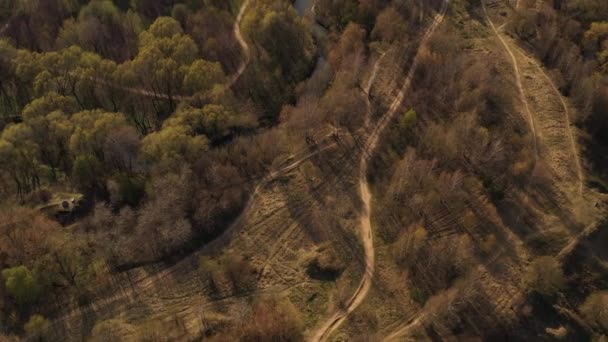 Vue Panoramique Sur Parc Des Aires Loisirs Forêt Retirée Drone — Video