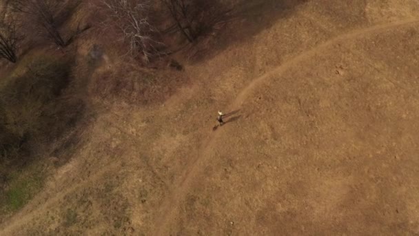 Panoramablick Auf Den Park Der Erholungsgebiete Und Den Wald Von — Stockvideo