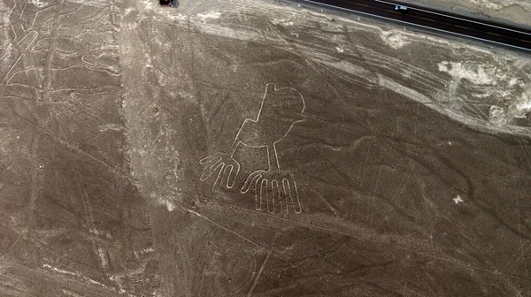 Mysterious Giant Petroglyphs Mysterious Nazca Desert — Stock Photo, Image