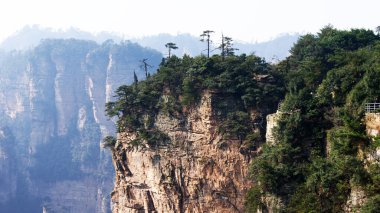 Sisin tepesinde çam ağaçları olan dünya dışı büyülü dağlar.