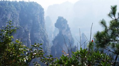 Sisin tepesinde çam ağaçları olan dünya dışı büyülü dağlar.