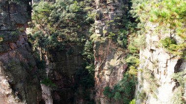 Sisin tepesinde çam ağaçları olan dünya dışı büyülü dağlar.
