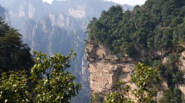 Sisin tepesinde çam ağaçları olan dünya dışı büyülü dağlar.