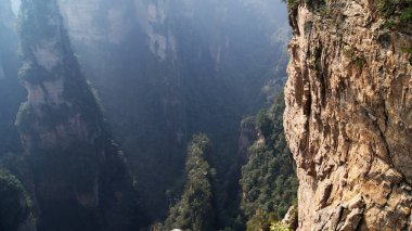 Sisin tepesinde çam ağaçları olan dünya dışı büyülü dağlar.