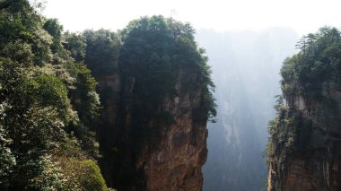 Sisin tepesinde çam ağaçları olan dünya dışı büyülü dağlar.