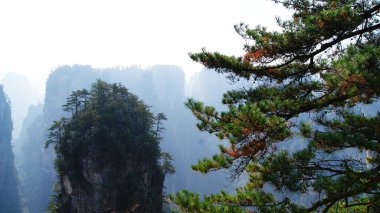 Sisin tepesinde çam ağaçları olan dünya dışı büyülü dağlar.