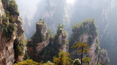 Sisin tepesinde çam ağaçları olan dünya dışı büyülü dağlar.
