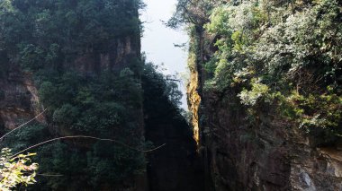 Sisin tepesinde çam ağaçları olan dünya dışı büyülü dağlar.