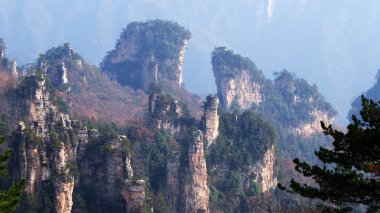 Sisin tepesinde çam ağaçları olan dünya dışı büyülü dağlar.