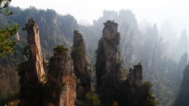 Sisin tepesinde çam ağaçları olan dünya dışı büyülü dağlar.