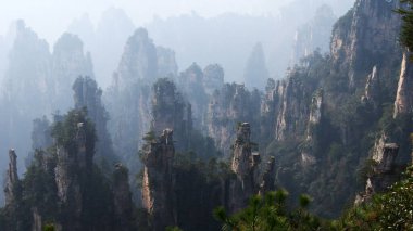 Sisin tepesinde çam ağaçları olan dünya dışı büyülü dağlar.