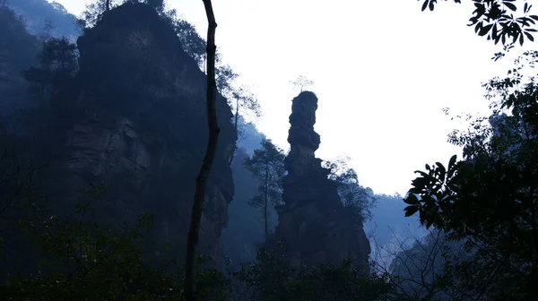 Montanhas Sobrenaturais Mágicas Com Pinheiros Topo Nevoeiro — Fotografia de Stock