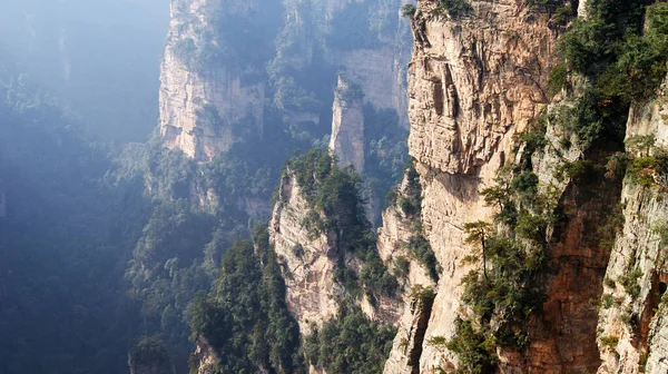 Sisin tepesinde çam ağaçları olan dünya dışı büyülü dağlar.
