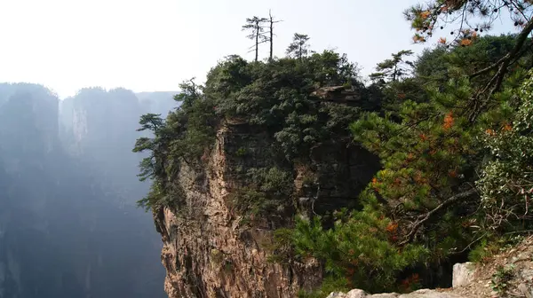 Sisin Tepesinde Çam Ağaçları Olan Dünya Dışı Büyülü Dağlar — Stok fotoğraf