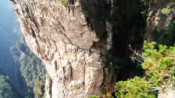 Mágicas Montañas Sobrenaturales Con Pinos Cima Niebla — Foto de Stock