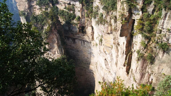 Mágicas Montañas Sobrenaturales Con Pinos Cima Niebla — Foto de Stock