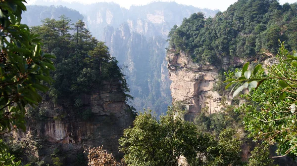 Montagne Magiche Ultraterrene Con Pini Cima Nella Nebbia — Foto Stock