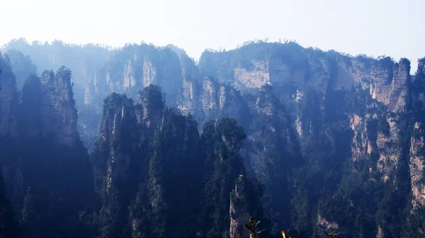 Magische Onaardse Bergen Met Dennenbomen Bovenop Mist — Stockfoto