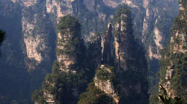 Mágicas Montañas Sobrenaturales Con Pinos Cima Niebla —  Fotos de Stock