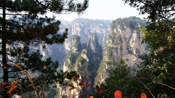Sisin tepesinde çam ağaçları olan dünya dışı büyülü dağlar.