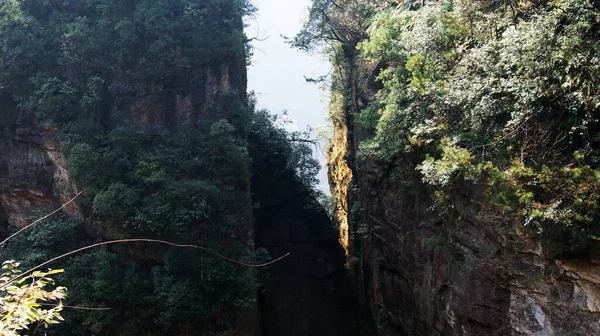 Sisin tepesinde çam ağaçları olan dünya dışı büyülü dağlar.