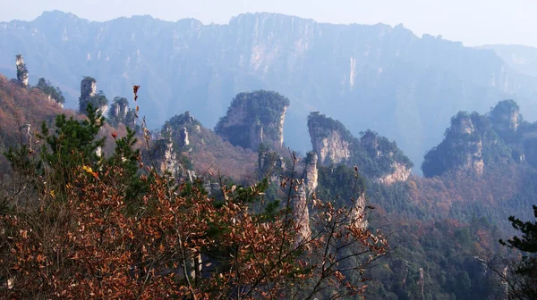 霧の中に松の木がある不思議な非現実的な山 — ストック写真