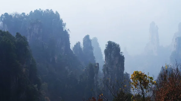 Zauberhafte Überirdische Berge Mit Kiefern Oben Nebel — Stockfoto