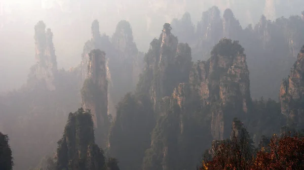 Волшебные Неземные Горы Соснами Вершине Тумане — стоковое фото