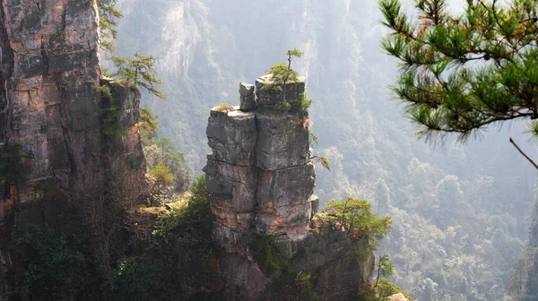 Magiska Omjordiska Berg Med Tallar Toppen Dimman — Stockfoto