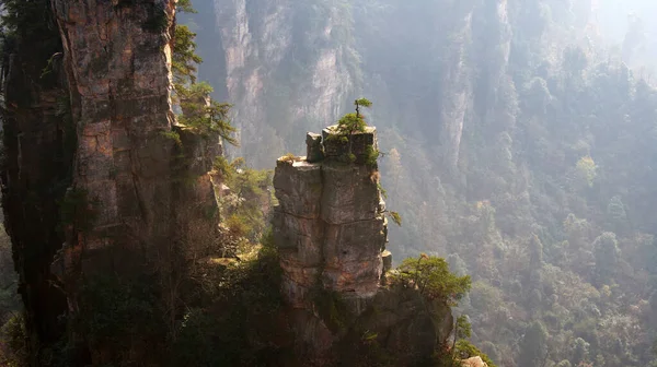 Mágicas Montañas Sobrenaturales Con Pinos Cima Niebla —  Fotos de Stock