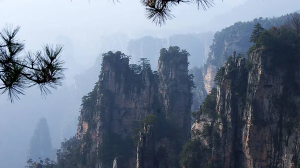 霧の中に松の木がある不思議な非現実的な山 — ストック写真