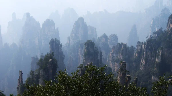 Mágicas Montañas Sobrenaturales Con Pinos Cima Niebla — Foto de Stock