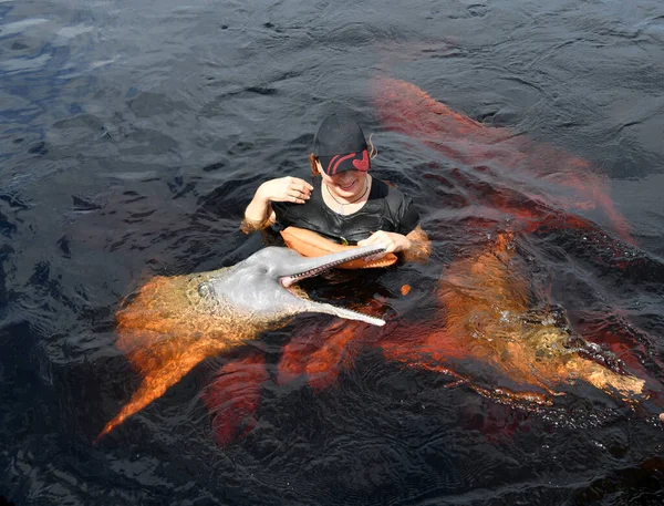 ピンクのイルカが魚を楽しむために — ストック写真