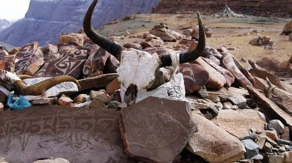 Buddhistisk Bön Och Tro Förkroppsligad Stenen Runt Berget Kailash Tibet — Stockfoto